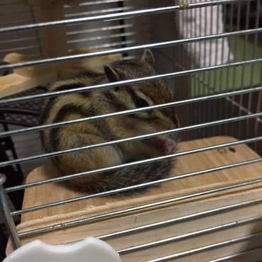 亡くなる前でした