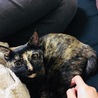 はじめまして