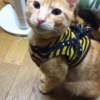 ちーちーと申します