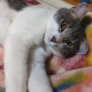 甘えん坊の男の子