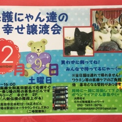 保護にゃん達の幸せ譲渡会