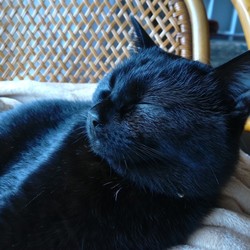 「似た者同士？」サムネイル1