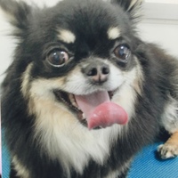 L