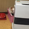 あい実