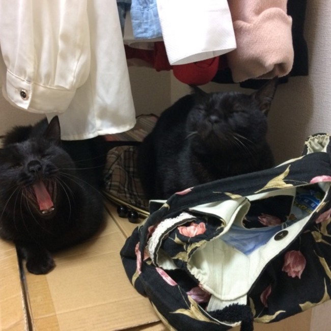 uezonoのカバー写真