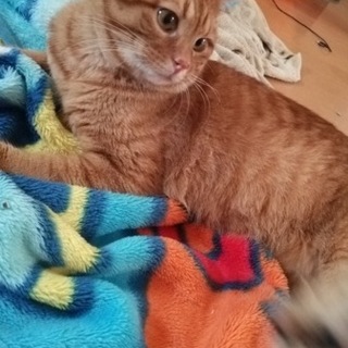 甘えん坊なやんちゃ男の子