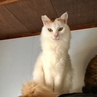 触れないけど、イケメンのタケル君