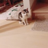 シュンヤ