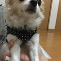可愛がってくれる方