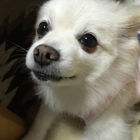 エリー