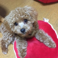 福