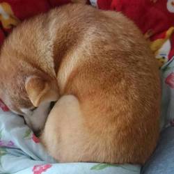 「怪我から１ヶ月を超えて。。」サムネイル3