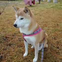 怪我から１ヶ月を超えて。。