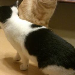 トライアル開始～そして・・・