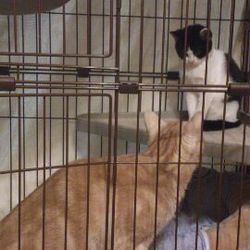 「トライアル開始～そして・・・」サムネイル2