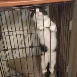 「トライアル開始～そして・・・」サムネイル3