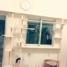 ねこ大好き過ぎて