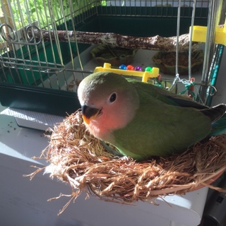 たくさんのご応募本当にありがとうございました！