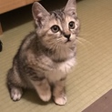 元気な女の子 ちょっとポッチャリ