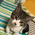 臆病だけど美人なえりぃちゃん