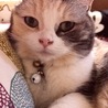 の写真
