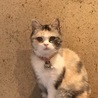 の写真