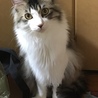 男前