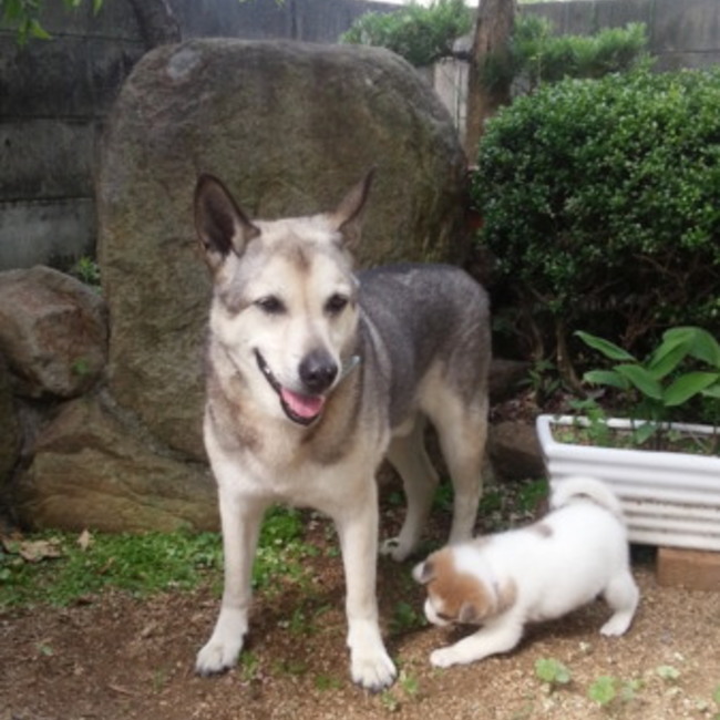 ジョン・マリのカバー写真