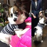 ノンタンのナナココ