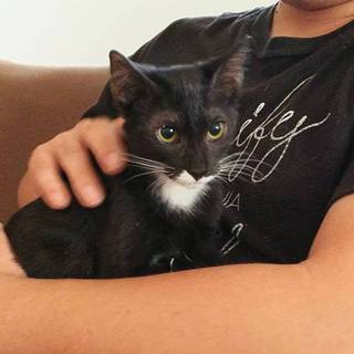 もみは急いでいます、かえはフレンドリー