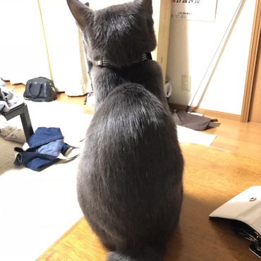 大きくなった背中。