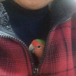 やっと撮れました(*^^*)