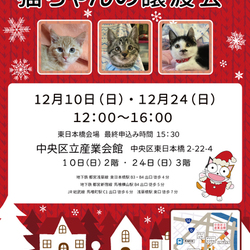 ねこざんまい譲渡会in東日本橋