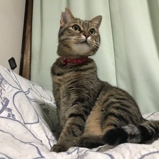 甘ったれの女王様♪