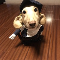 オウガ