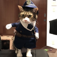 にゃろめ