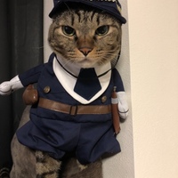 くう