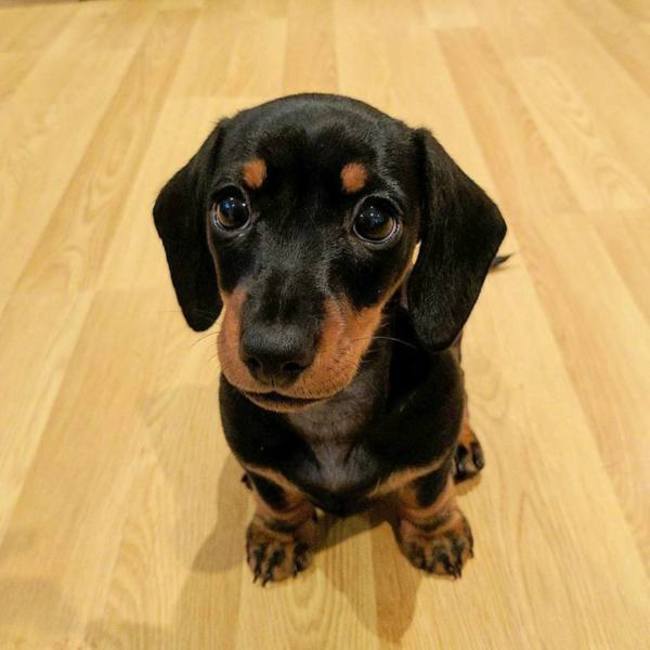 ＤＢＷのカバー写真