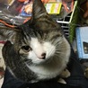ニックネームさん