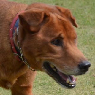 気のいいおっさんです！