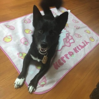 おっとり優しい女の子！