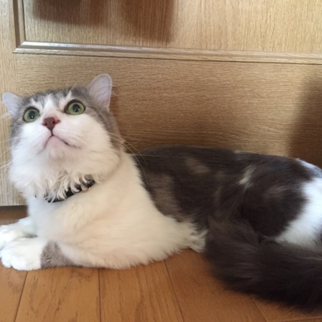 mihiro07のカバー写真