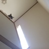 隠れんぼ