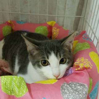 代理掲載・じん