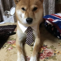 むさし