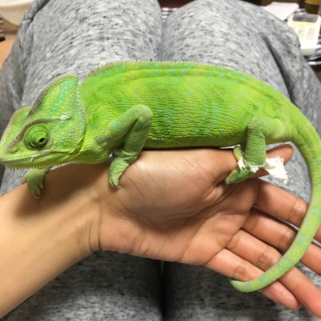 yossiy62のカバー写真