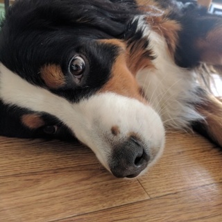 ご応募していただいた方、ありがとうございました。