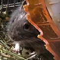 ありがとうございました！