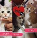 パンナ♀タピオ♂プリン♀