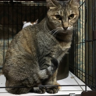 【瑠璃ちゃん】スリゴロ甘えん坊な女の子